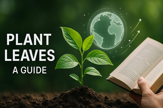 Plant Leaves Guide: Understanding Their Role in 2025