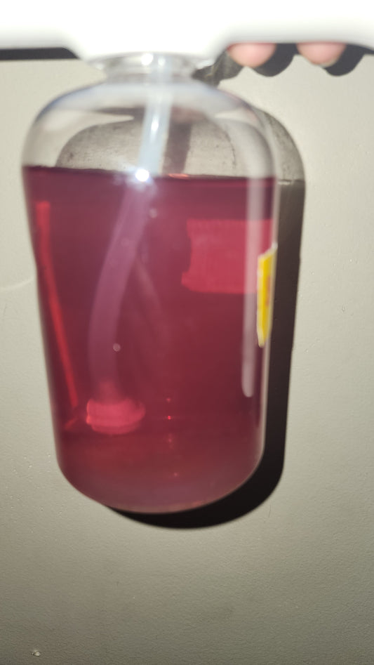 A clear container of FAS Organic Foliage Feed w/ pest prevention and Fertilizers, filled with a dark pink liquid and fitted with a tube, hangs against a plain light wall.